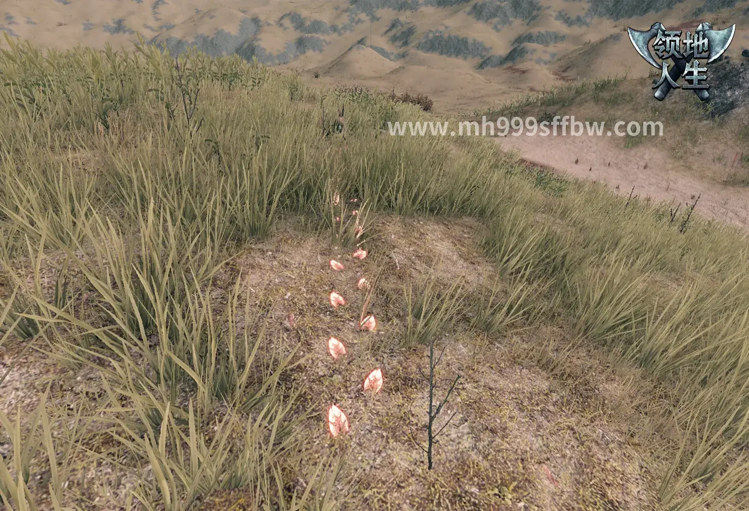 梦幻西游, 交流, 帮派